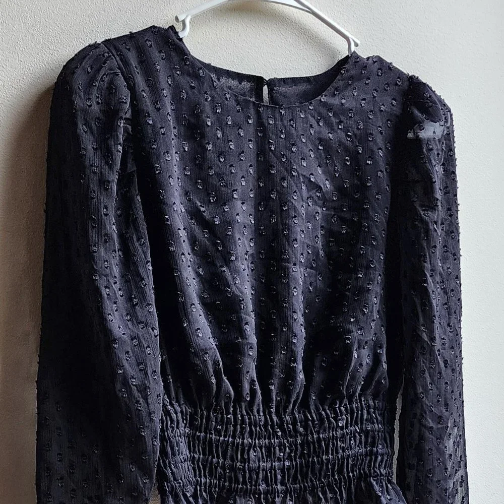 Express Sheer Black Cropped Blouse Size XS